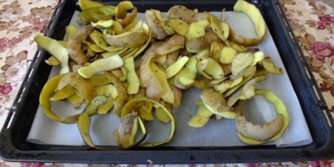 Kako koristiti koru krompira kao đubrivo: za koje biljke, za cvijeće